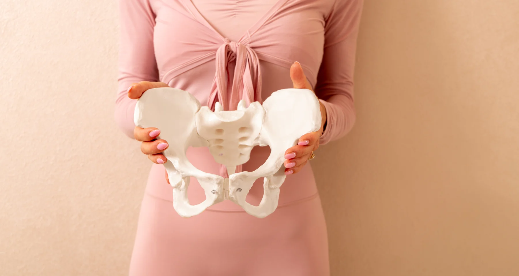 Ein anatomisches Beckenmodell wird mit beiden Händen gehalten.